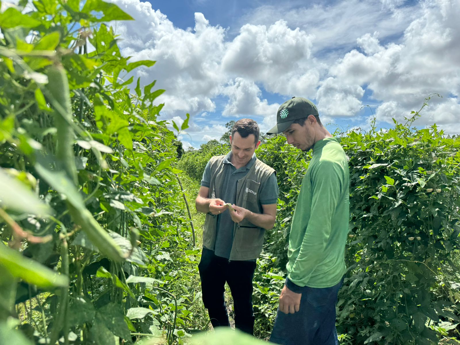 b1ccf5e6 55cf 4180 ab74 dde7611b6eaa