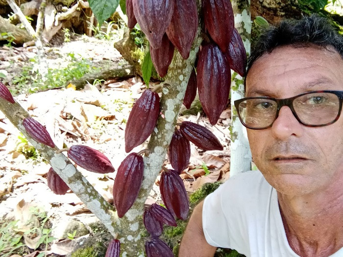 6 Luiz Cesar cacau web