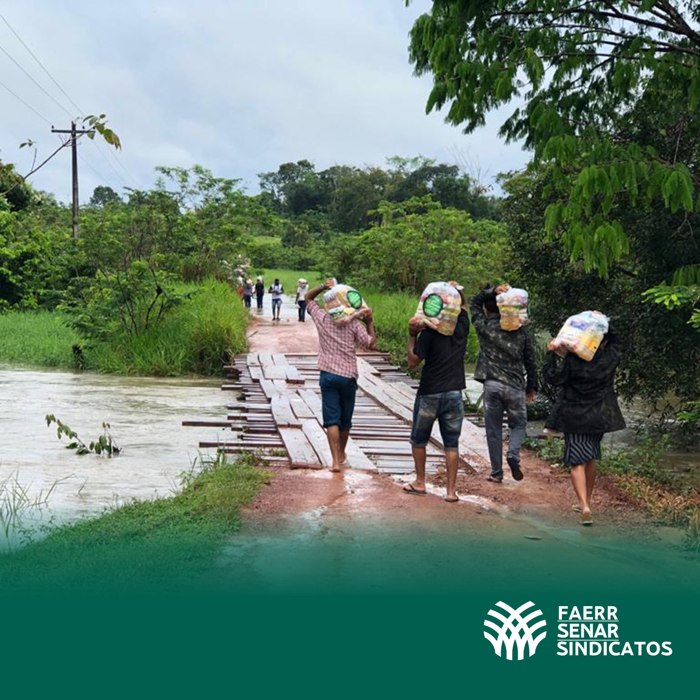 AGRO FINAL RORAINOPOLIS