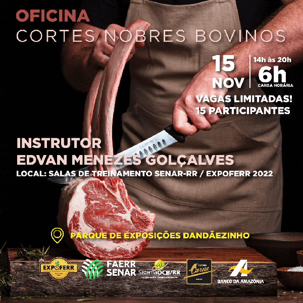 CARNE BOVINA