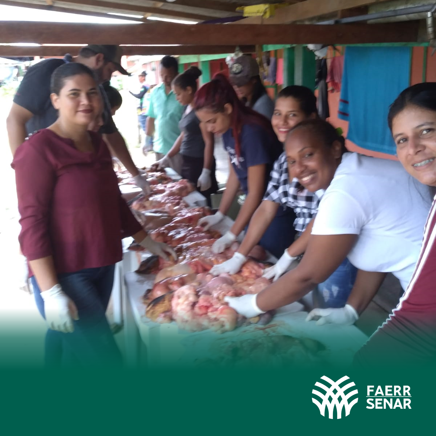 INSEMINACAO RORAINOPOLIS