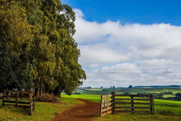 fazenda
