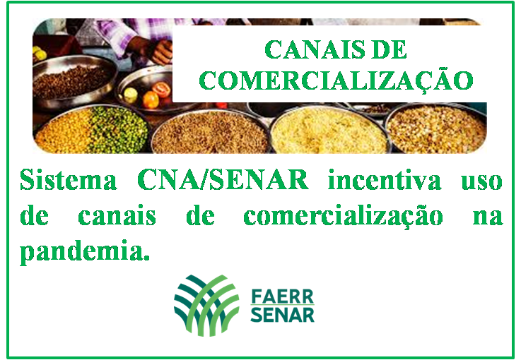 CANAIS DE COMERCIO