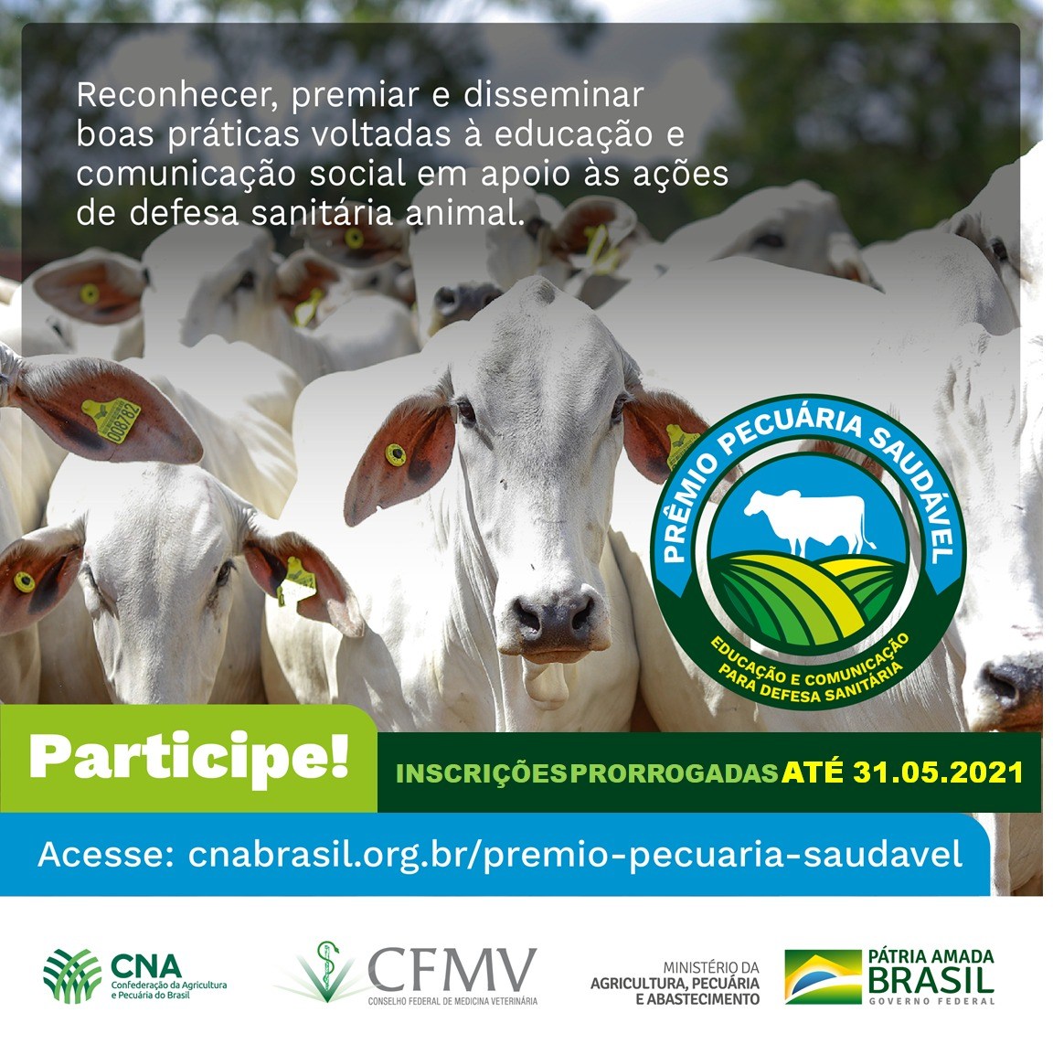 premio pecuaria saudavel